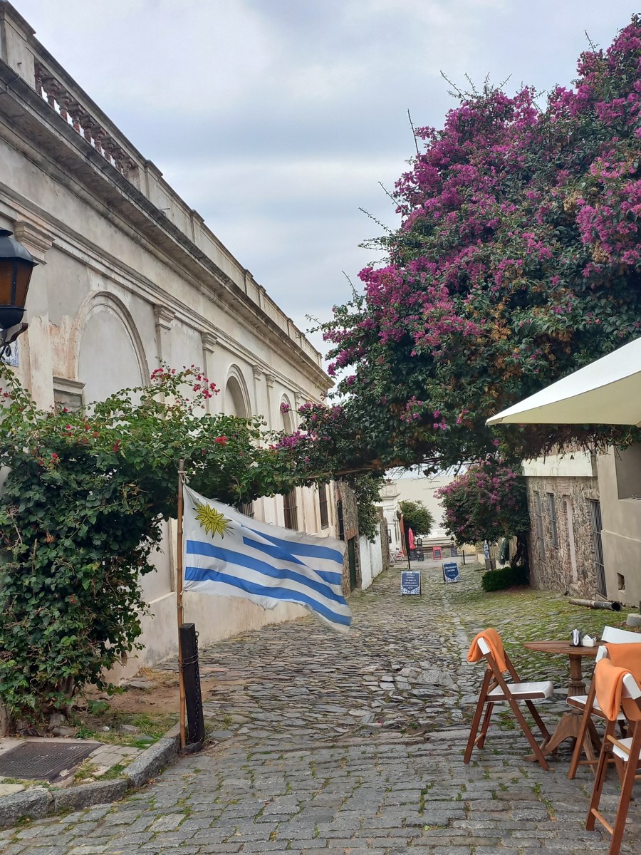 Besuch beim Nachbarn