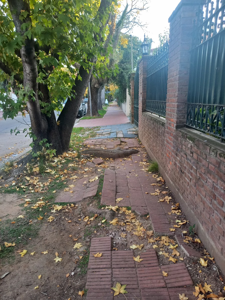 Schön kaputt? Die argentinische&nbsp;Ästhetik